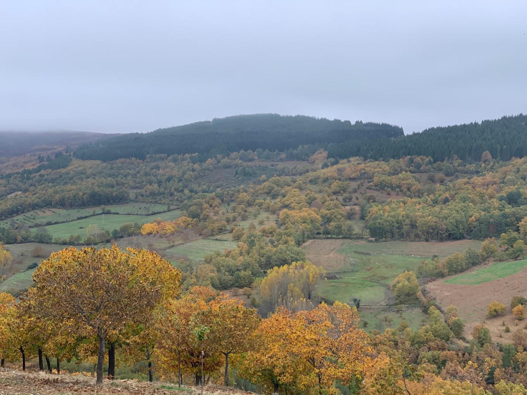 Casa Do Souto - Nature & Experiences - Turismo Rural Braganca Exterior photo